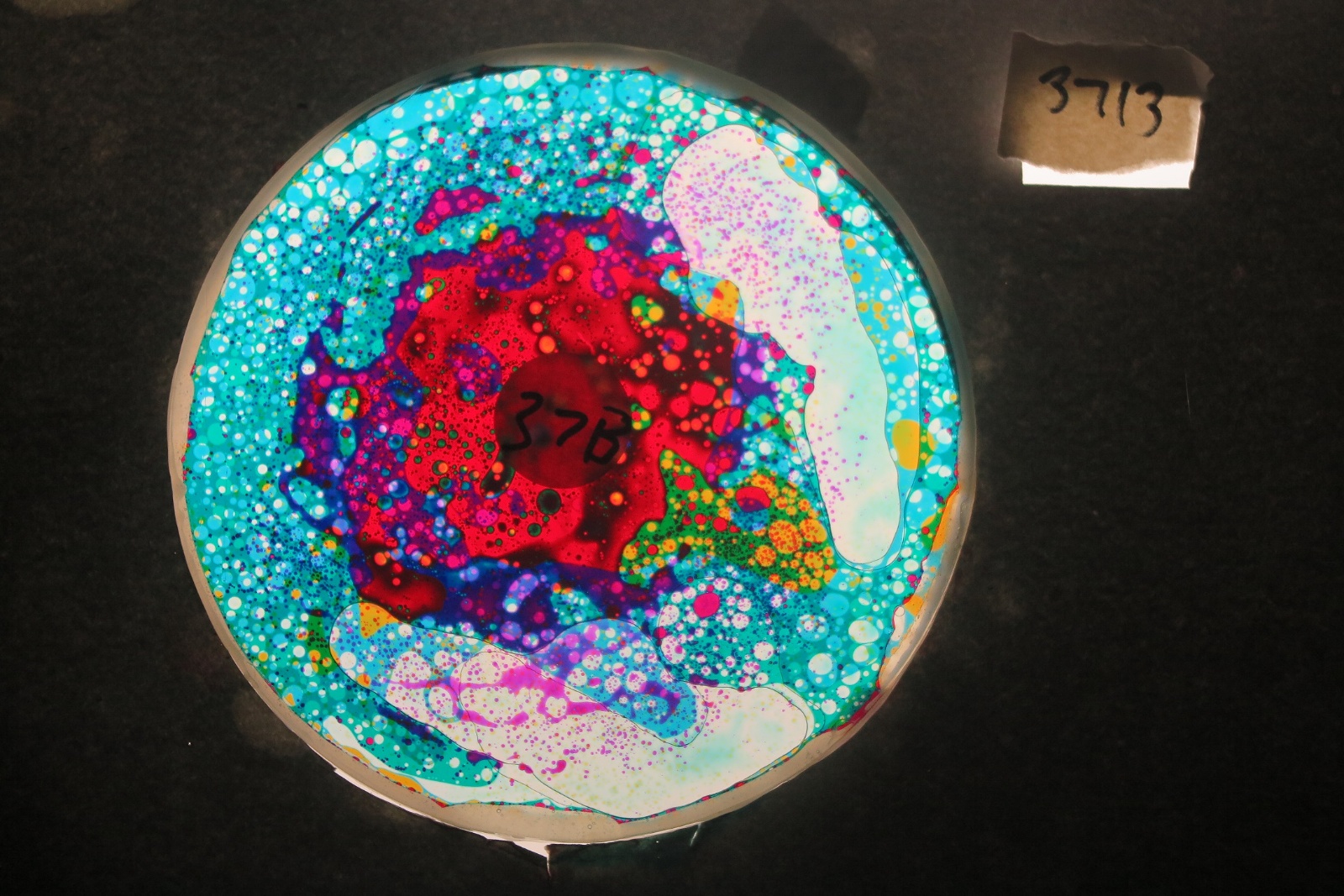 BV3713 bubble vision oil wheel